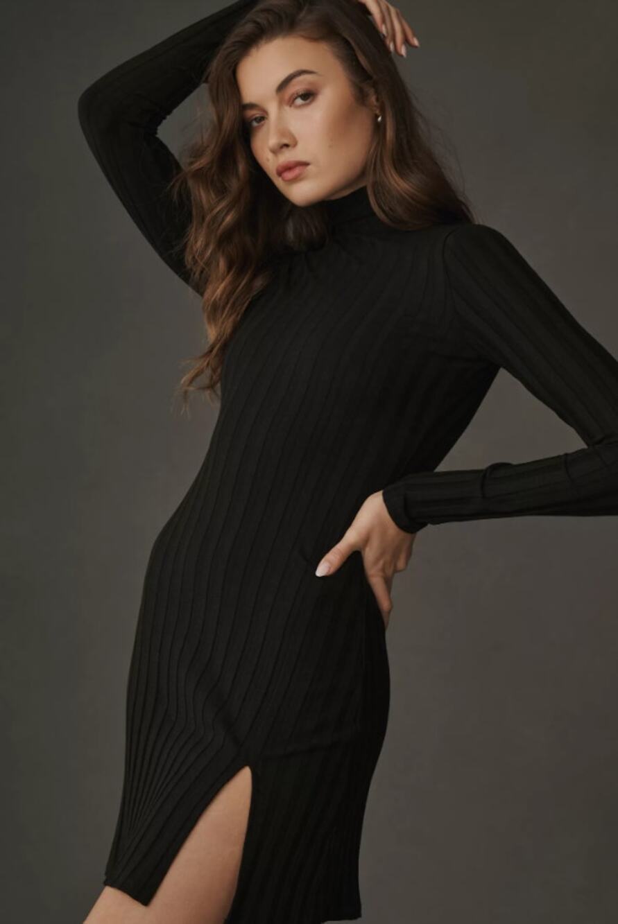 Reformation Libra Black Ribbed Knit Mock Neck Mini Dress Size: Small